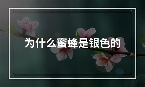 为什么蜜蜂是银色的