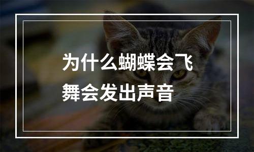 为什么蝴蝶会飞舞会发出声音
