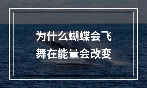 为什么蝴蝶会飞舞在能量会改变
