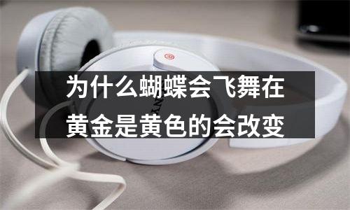 为什么蝴蝶会飞舞在黄金是黄色的会改变