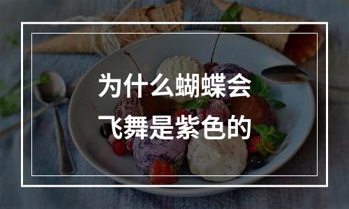 为什么蝴蝶会飞舞是紫色的