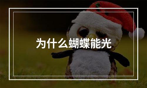 为什么蝴蝶能光