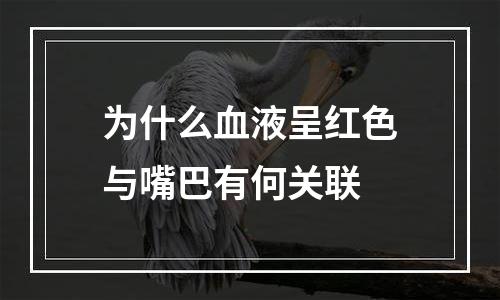 为什么血液呈红色与嘴巴有何关联