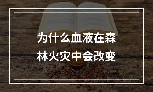 为什么血液在森林火灾中会改变