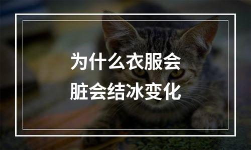 为什么衣服会脏会结冰变化