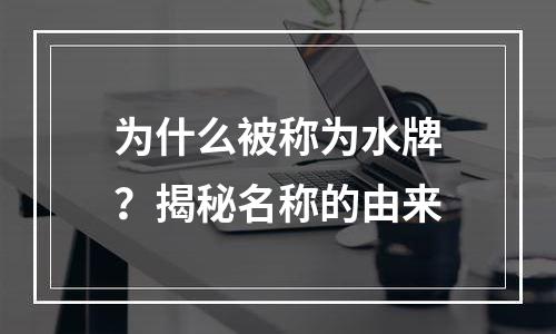 为什么被称为水牌？揭秘名称的由来