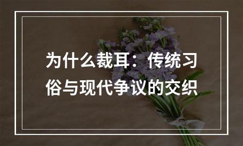 为什么裁耳：传统习俗与现代争议的交织