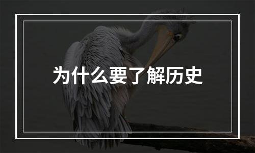 为什么要了解历史