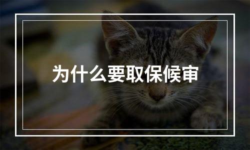 为什么要取保候审
