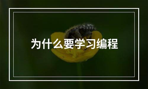 为什么要学习编程