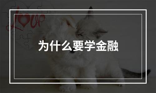 为什么要学金融