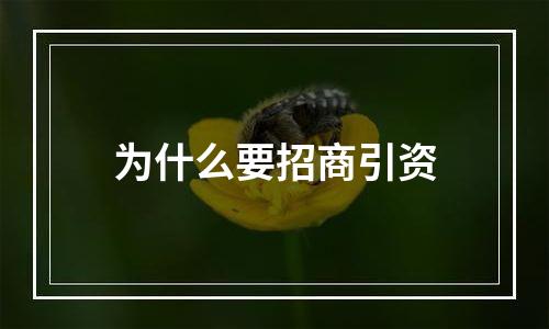 为什么要招商引资