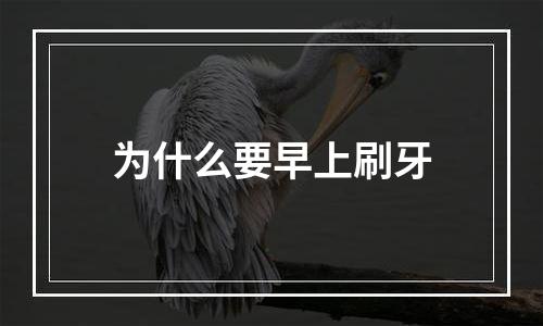 为什么要早上刷牙