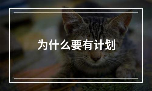 为什么要有计划