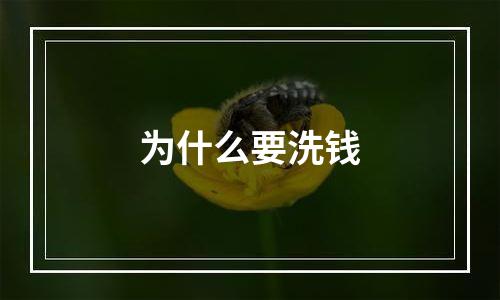 为什么要洗钱