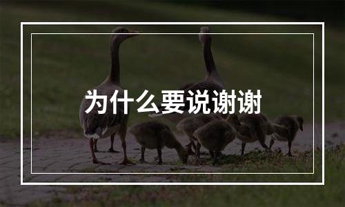 为什么要说谢谢