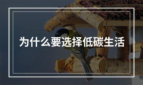 为什么要选择低碳生活