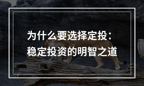 为什么要选择定投：稳定投资的明智之道