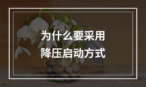 为什么要采用降压启动方式