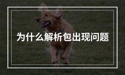为什么解析包出现问题