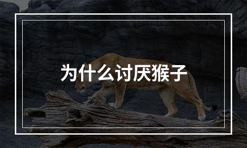 为什么讨厌猴子