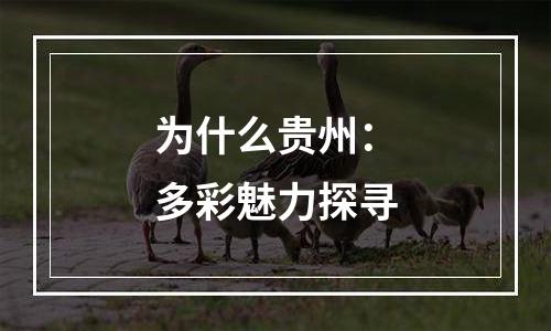 为什么贵州：多彩魅力探寻