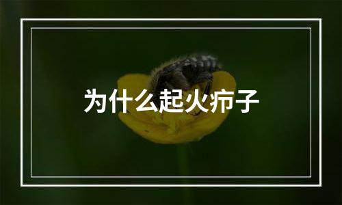 为什么起火疖子