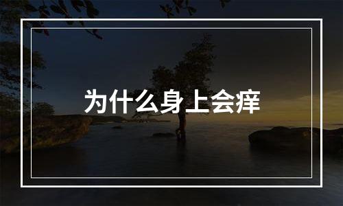 为什么身上会痒