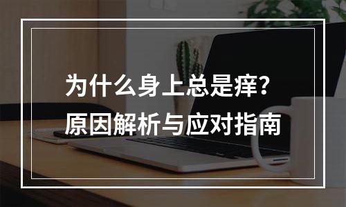 为什么身上总是痒？原因解析与应对指南