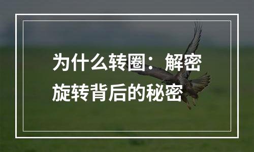 为什么转圈：解密旋转背后的秘密