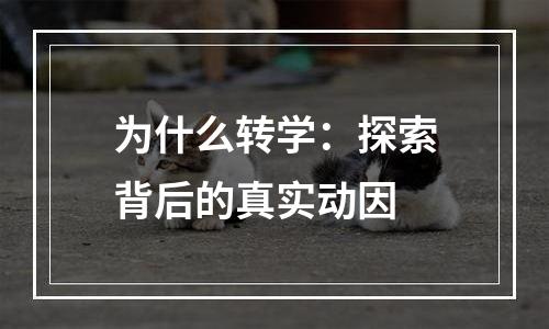 为什么转学：探索背后的真实动因