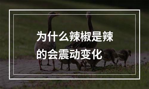 为什么辣椒是辣的会震动变化