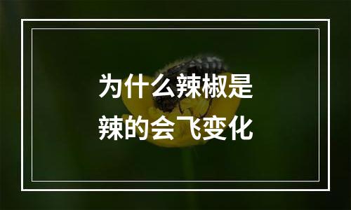 为什么辣椒是辣的会飞变化