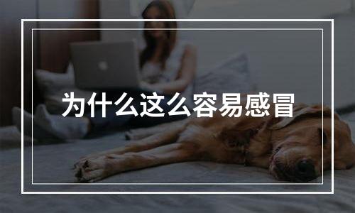 为什么这么容易感冒