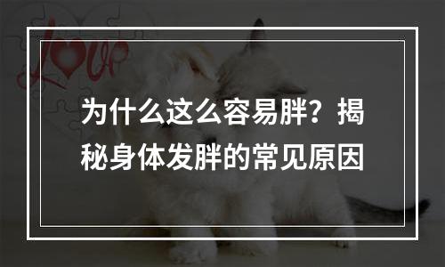 为什么这么容易胖？揭秘身体发胖的常见原因