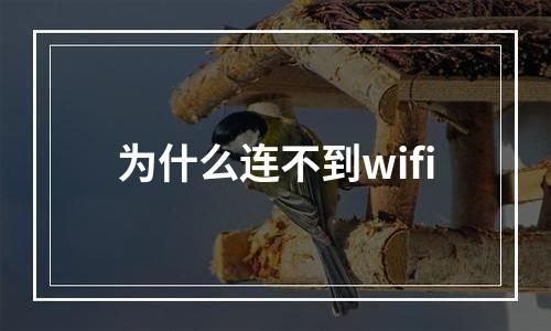为什么连不到wifi