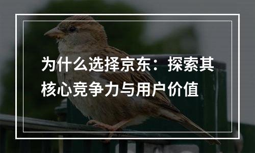 为什么选择京东：探索其核心竞争力与用户价值