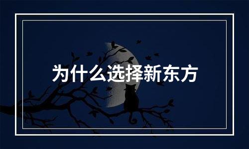 为什么选择新东方
