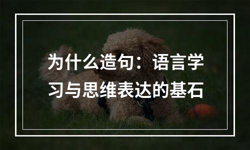 为什么造句：语言学习与思维表达的基石