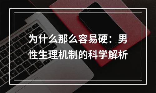 为什么那么容易硬：男性生理机制的科学解析