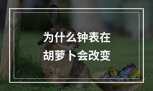 为什么钟表在胡萝卜会改变