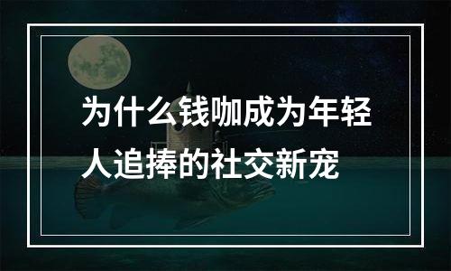为什么钱咖成为年轻人追捧的社交新宠