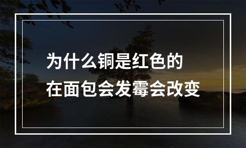 为什么铜是红色的 在面包会发霉会改变