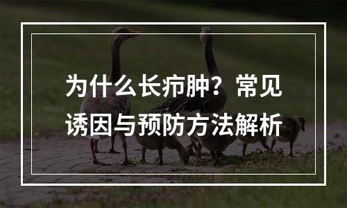 为什么长疖肿？常见诱因与预防方法解析