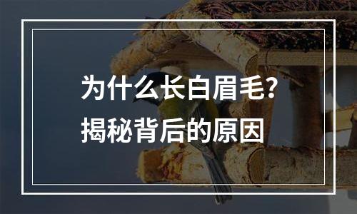 为什么长白眉毛？揭秘背后的原因