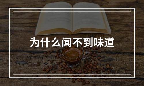 为什么闻不到味道