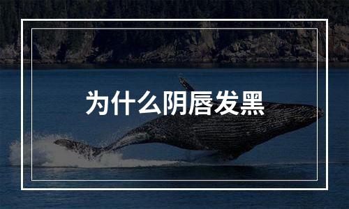 为什么阴唇发黑