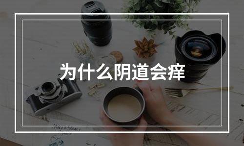 为什么阴道会痒