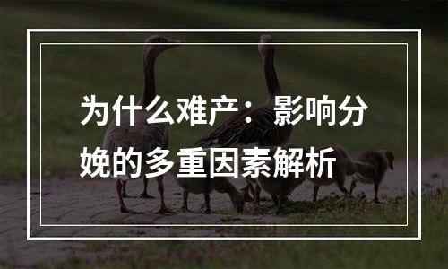 为什么难产：影响分娩的多重因素解析