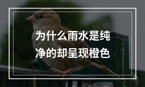 为什么雨水是纯净的却呈现橙色